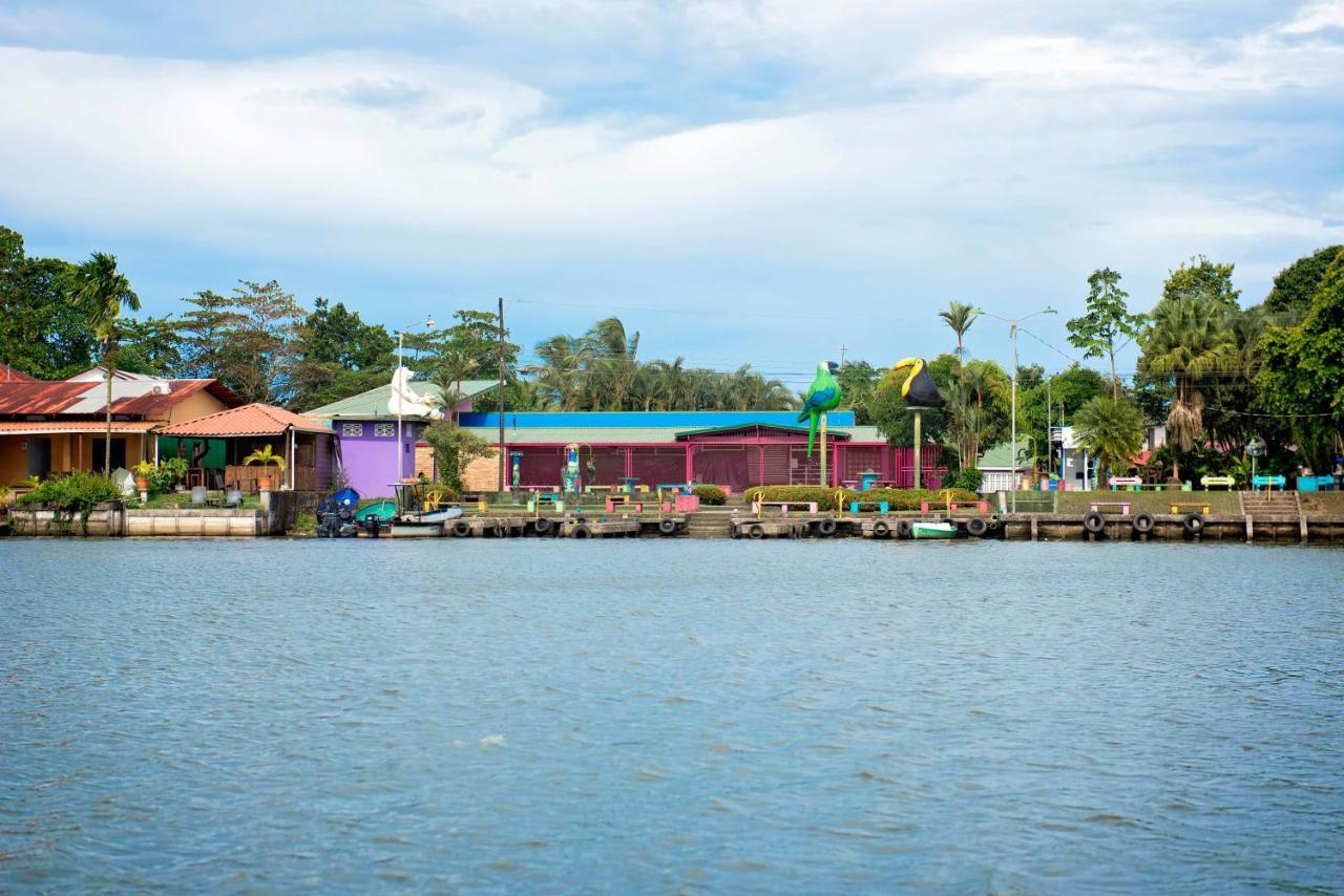 Apartament The Corner House Tortuguero Zewnętrze zdjęcie