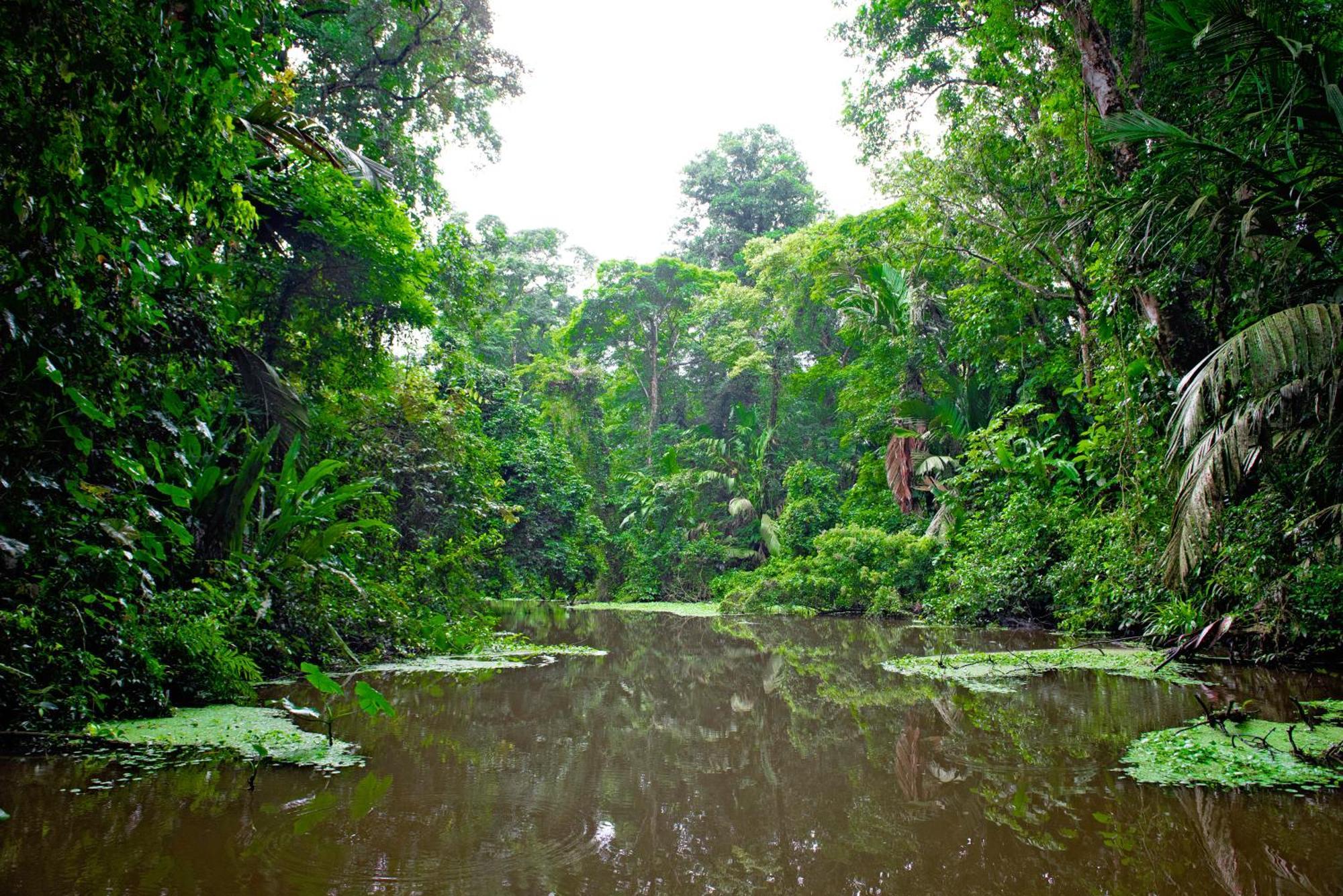 Apartament The Corner House Tortuguero Zewnętrze zdjęcie